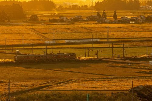 夕暮れの田園を黄金色に照らしながら走るローカル電車