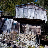 森の中に佇む倒壊寸前の廃屋と石垣の古民家の写真