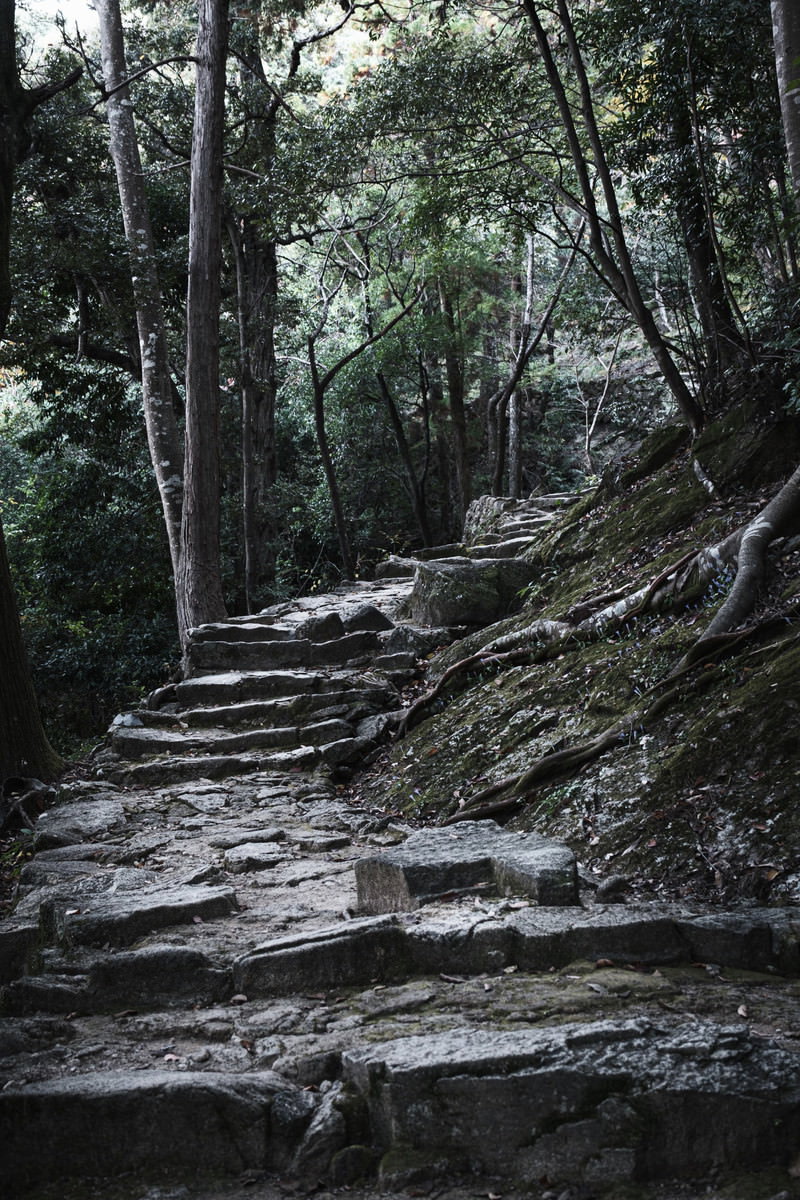 神倉神社の境内にある急勾配な石段を下から見上げた様子