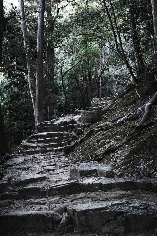 神倉神社の境内にある急勾配な石段と参道の風景