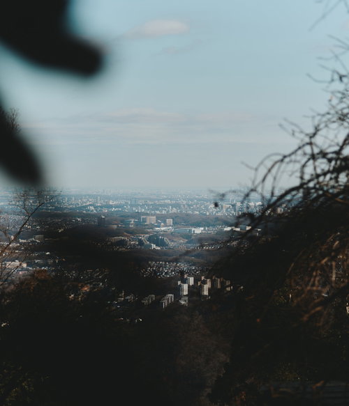 裏山から眺める市街地と遠くの山々の広大な景観