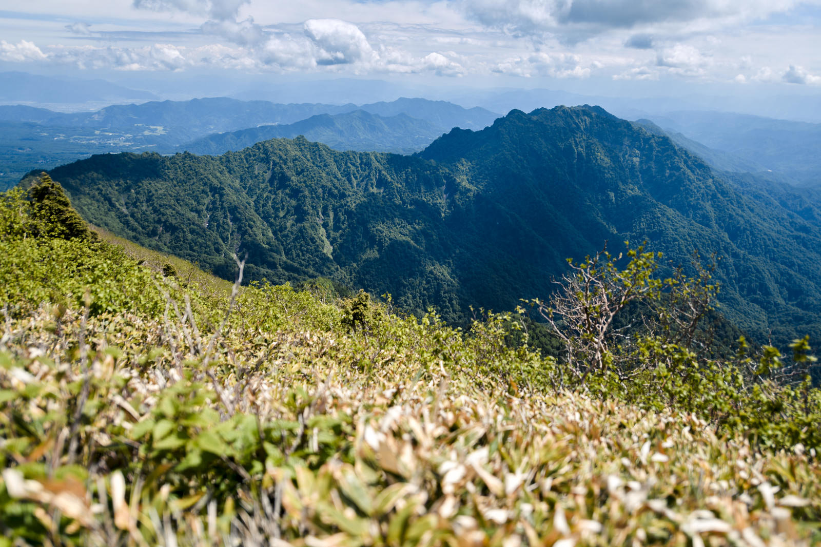 高妻山から望む戸隠山への稜線と緑豊かな山々の風景