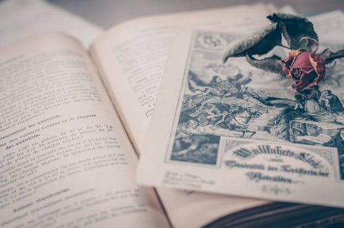 古書の上に置かれた赤いバラ（中二病末期）