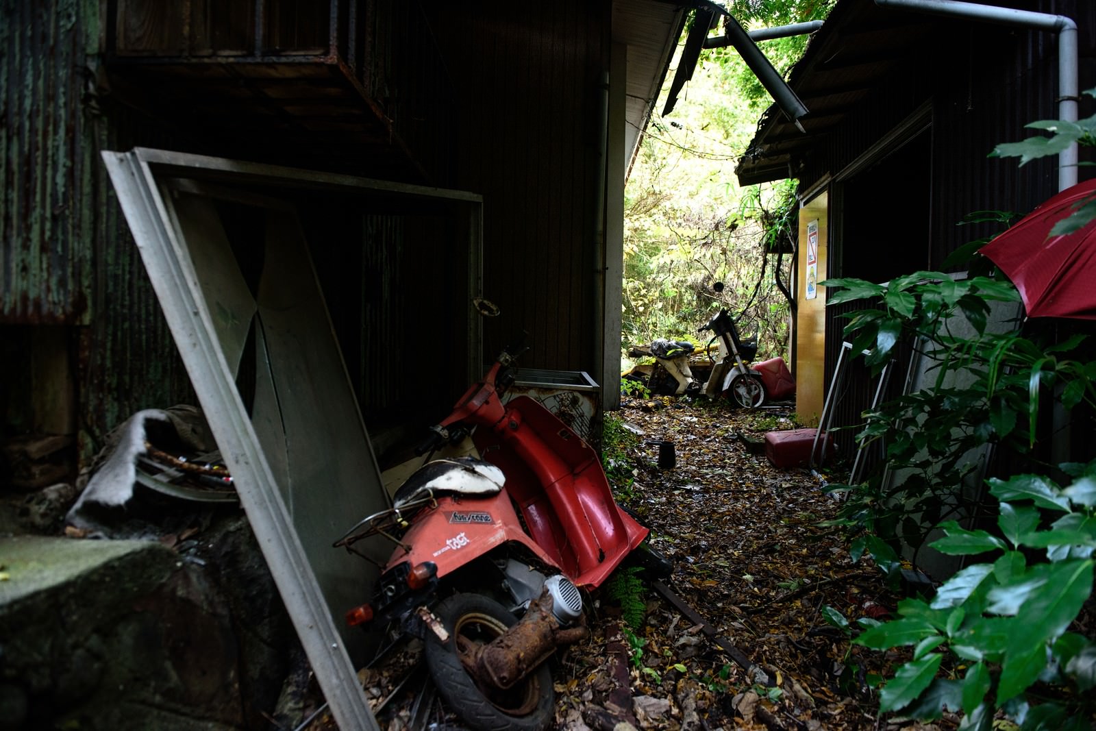 軒下に放置された赤いバイクと朽ちた建物、植物が生い茂る廃墟の風景