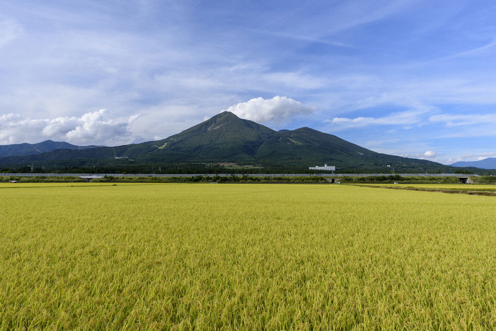 磐梯山を背景に黄金色の稲田が広がる猪苗代の秋の田園風景