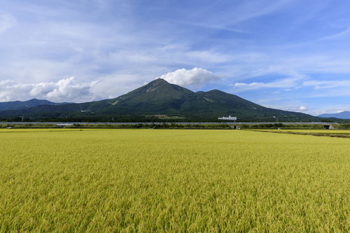 猪苗代の田畑と日本百名山・磐梯山の秋晴れ風景