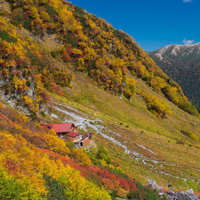 北アルプス涸沢カールの黄色と紅に溢れた秋の山肌の写真