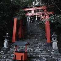 神倉神社の朱色の鳥居と苔むした石段の参道風景の写真
