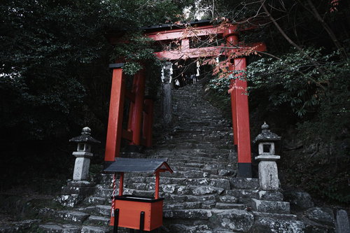 神倉神社の朱色の鳥居と苔むした石段の参道風景
