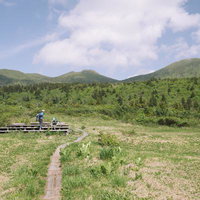湿原から見上げる八甲田大岳と登山道、木道を歩む登山者の写真