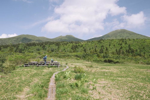 湿原から見上げる八甲田大岳と登山道、木道を歩む登山者