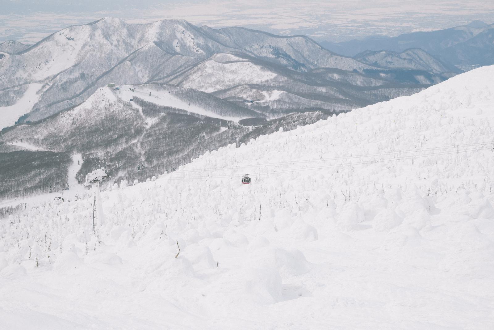 蔵王の雪山をロープウェイから見下ろす。樹氷林が広がり、遠くに複数の山々が連なっている冬景色