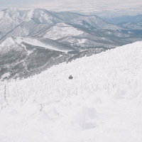 樹氷林を降る蔵王ロープウェイ、雪山を広く見渡す景観の写真