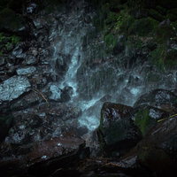 岩井滝から流れ落ちる水が滴る苔むした岩場の写真