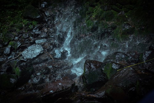 岩井滝から流れ落ちる水が滴る苔むした岩場