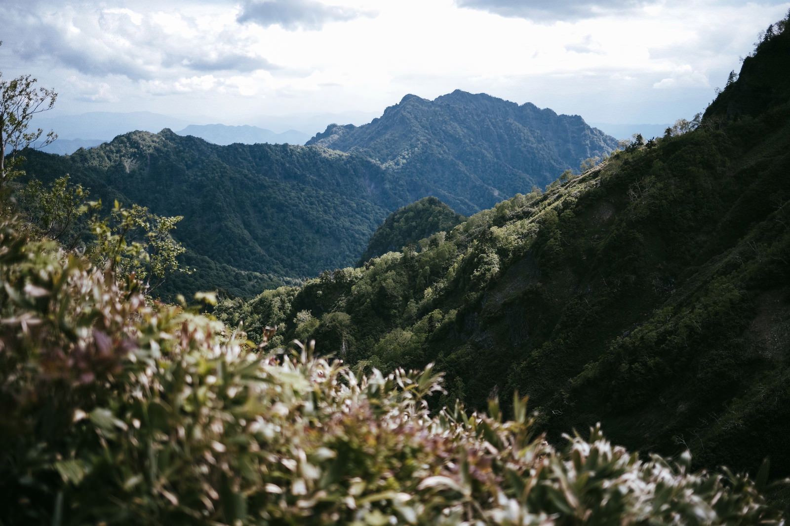 高妻山から見た戸隠山の山岳風景、手前に緑の山肌と奥に山並み