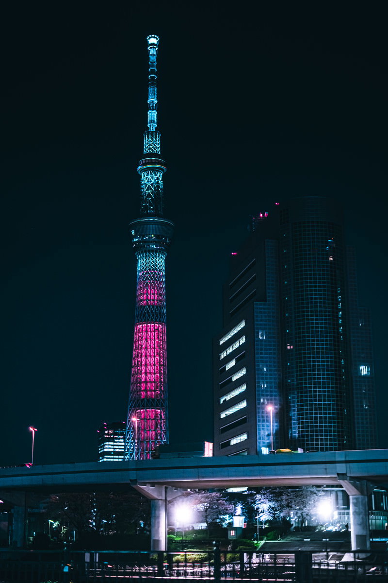 夜空に美しくピンク色にライトアップされた東京スカイツリー