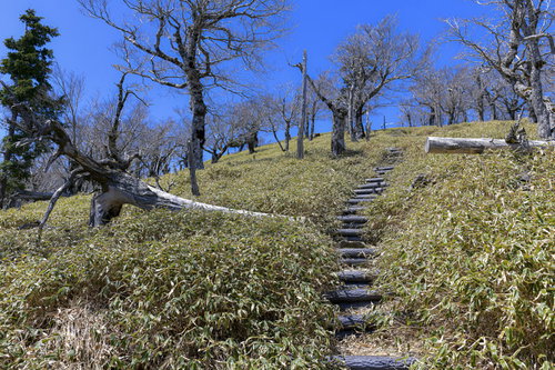 大台ヶ原の大杉谷ルート山頂付近に続く石段と登山道
