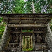 金峰神社（仙北市田沢湖）の仁王門と杉林の参道の写真