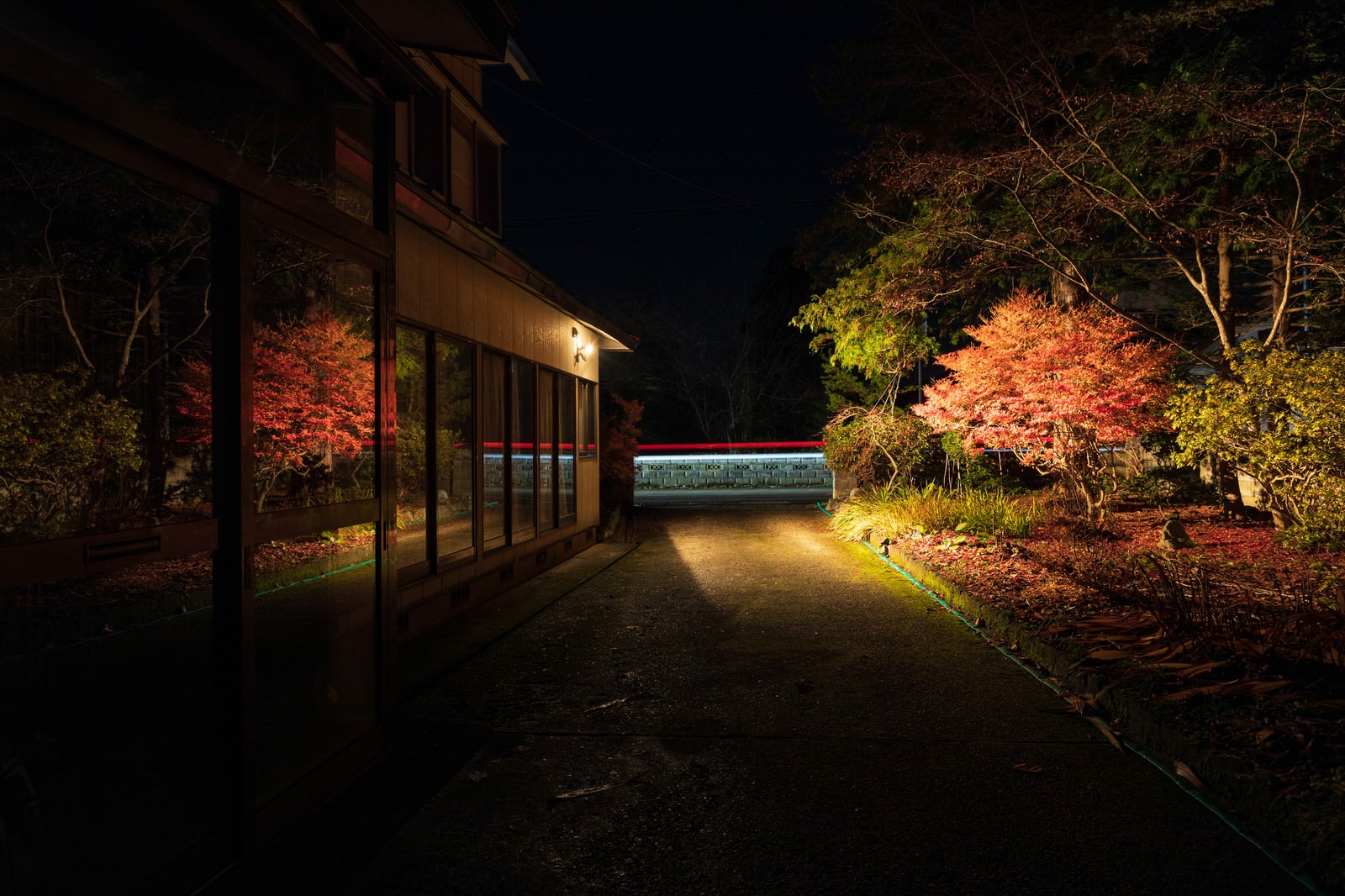 夜にライトアップされた民家の庭園で紅葉した木々が美しく照らされている