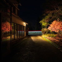 民家の窓に映る紅葉のライトアップ夜間風景の写真