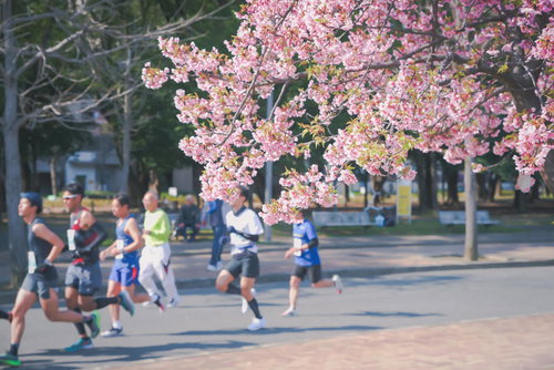 満開の桜並木を走る市民マラソンのランナーたち