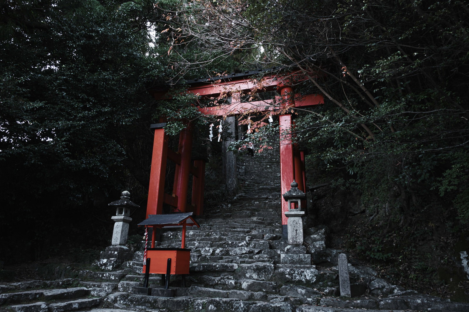 石段の下から見上げた朱色の鳥居と緑に囲まれた神倉神社の境内