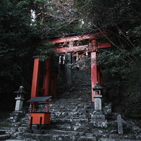 石段の下から見上げた朱色の鳥居と参道（神倉神社）の写真
