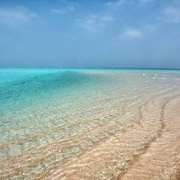 与論島・百合ヶ浜に現れた白い砂洲の絶景〜潮汐で出現する南国の浅瀬の写真