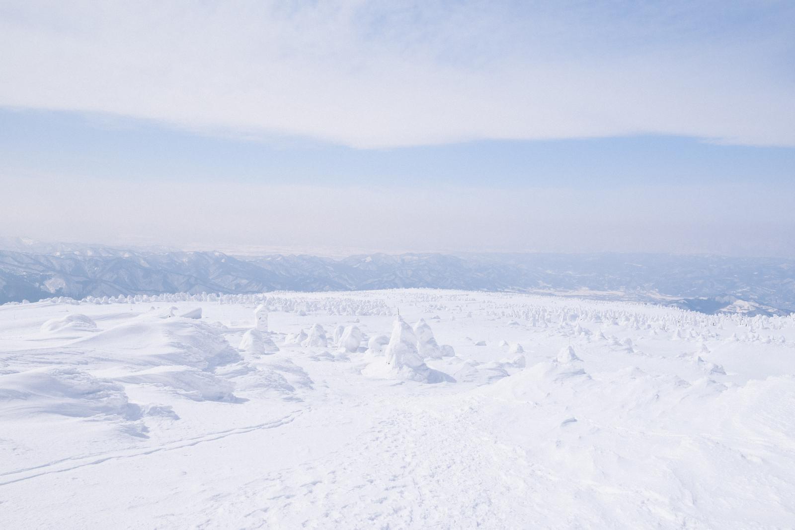 雪に覆われた蔵王高原から見た雪山と樹氷の冬景色
