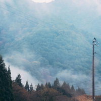 霧立ち込める山岳地帯の谷間の電柱にとまるカラスの写真