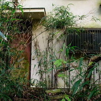 蔦に覆われた不気味な集落の廃屋 - 荒廃した田舎の朽ちた建物の写真