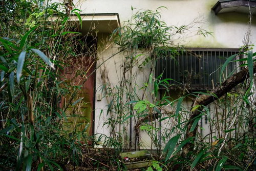 蔦に覆われた不気味な集落の廃屋 - 荒廃した田舎の朽ちた建物