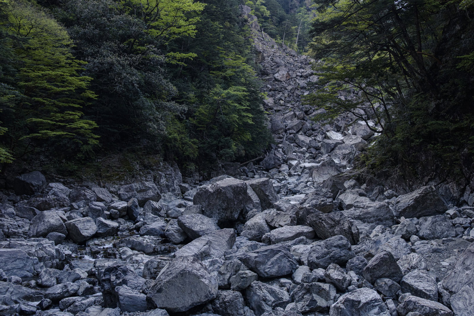 大台ヶ原大杉谷ルートの瓦礫が積み重なった険しい登山道