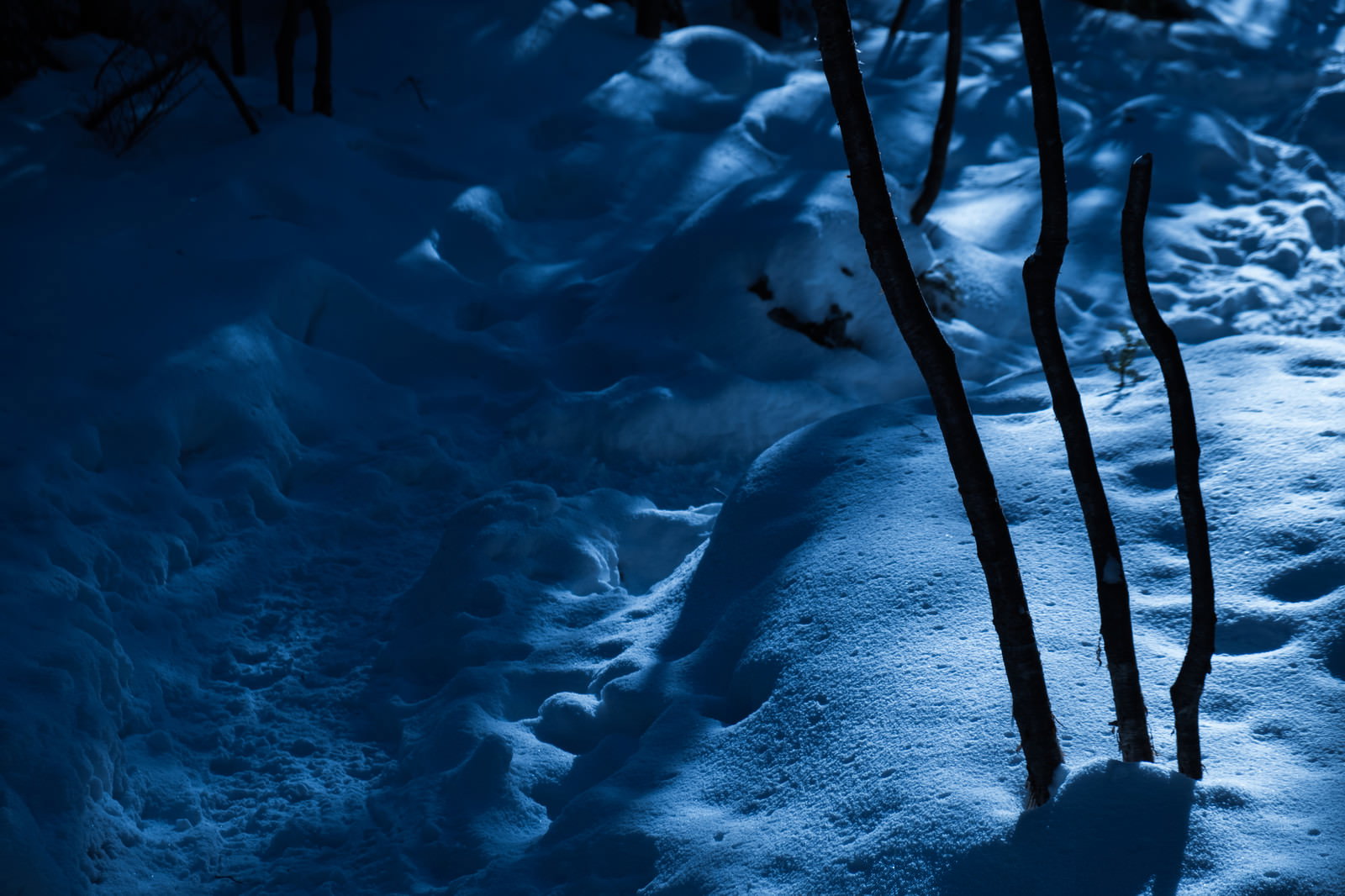 月明かりに照らされた夜の雪山登山道