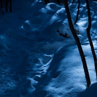 月明かりに照らされた冬山登山道の雪道と樹木のシルエットの写真