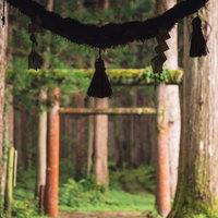 金峰神社の木製鳥居に掛けられたしめ縄と参道風景の写真