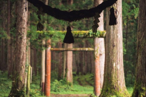 金峰神社の木製鳥居に掛けられたしめ縄と参道風景