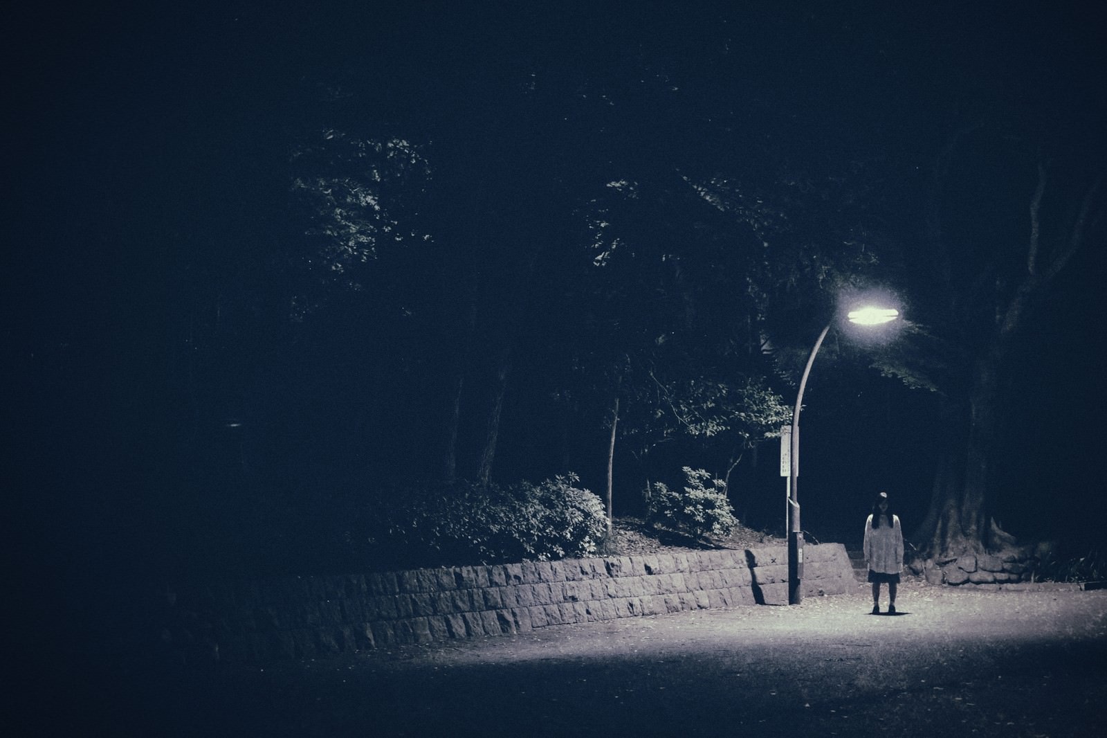 夜の街灯に照らされた女性のシルエット［モデル：河村友歌］