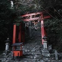 急勾配の石段と朱色の鳥居が印象的な神倉神社の参道（和歌山県新宮市）の写真