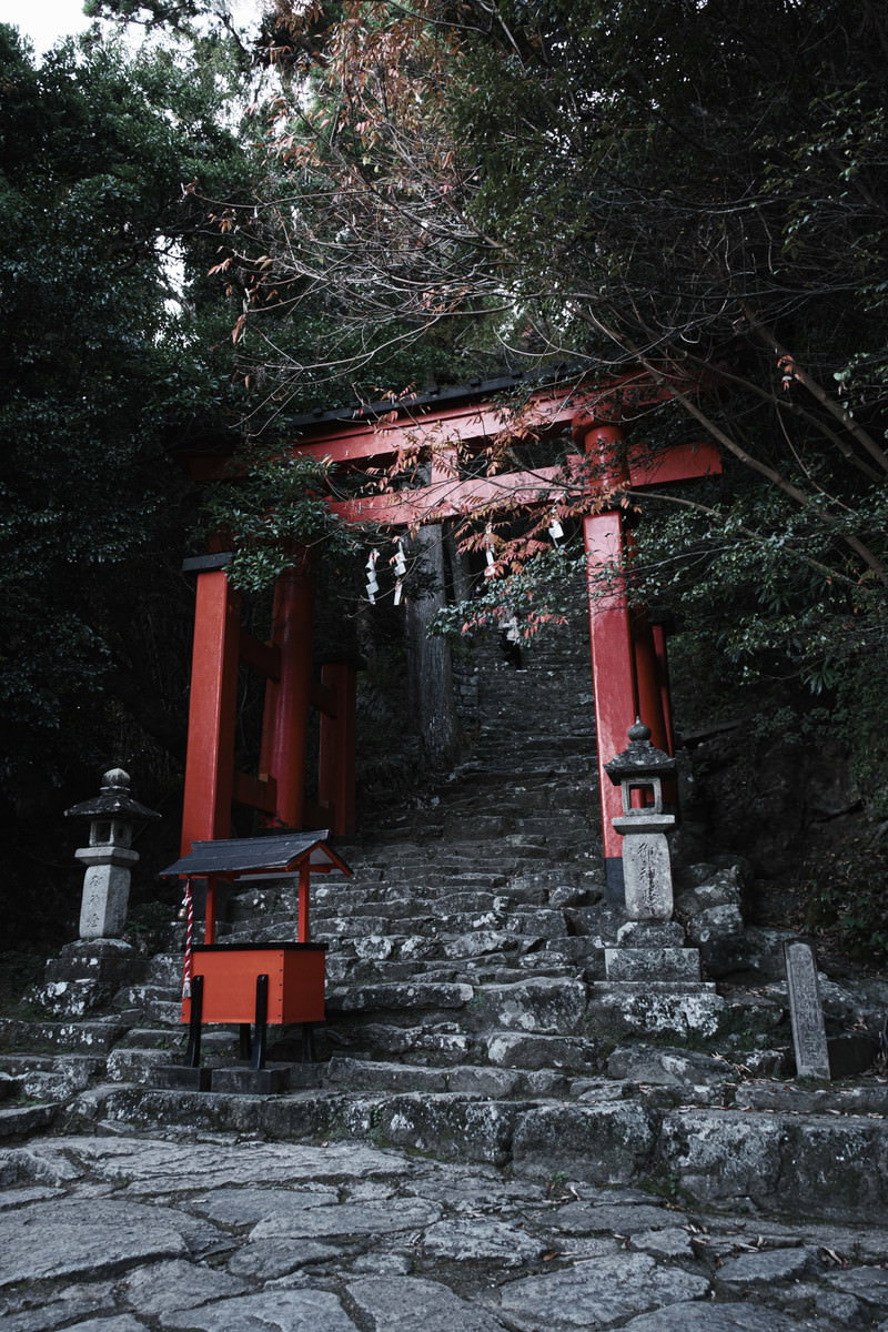 The vermilion torii gate standing on the steep stone staircase, surrounded by the verdant grounds of Kamikura Shrine