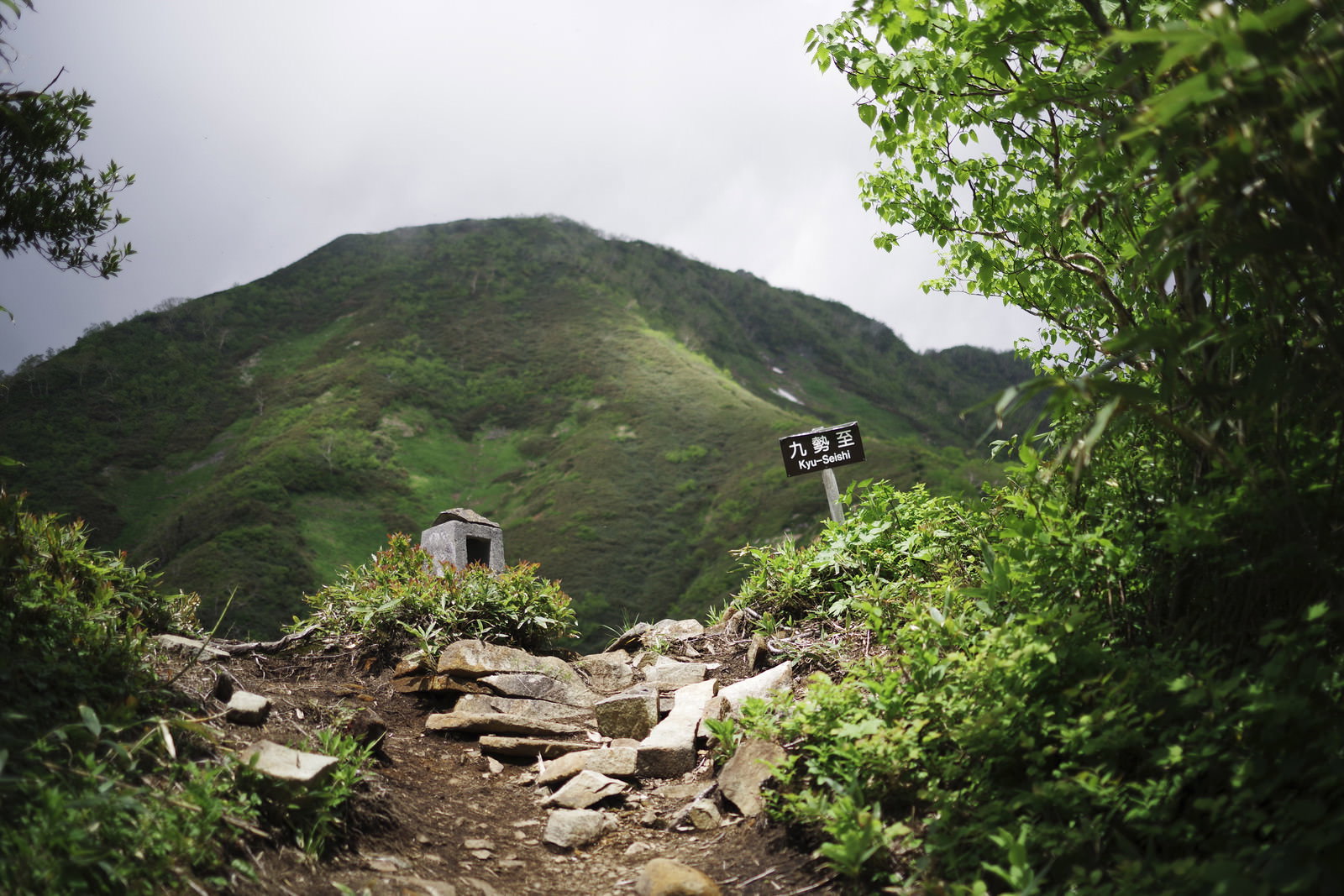 高妻山九勢至から山頂へ続く岩がちな登山道と新緑の山々