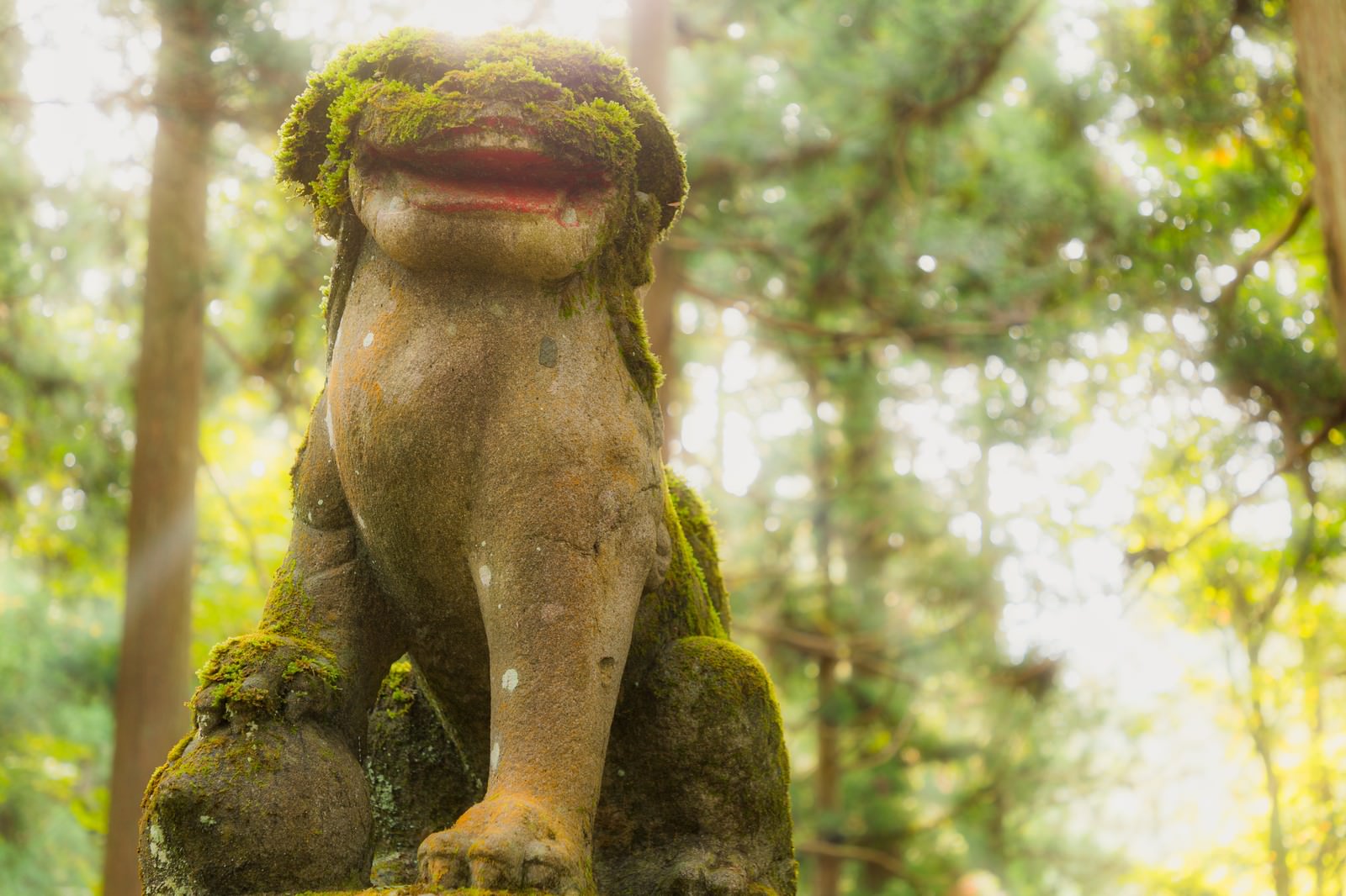 苔に覆われた石造りの狛犬が森の中の神社境内に立っている