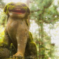 金峰神社の苔むした狛犬と参道の自然風景の写真
