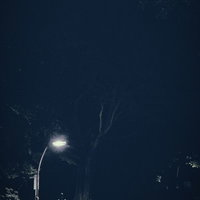 首を絞られて笑うビジネスマンの写真