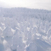 蔵王の樹氷林が創り出す雪山の絶景と冬景色の写真