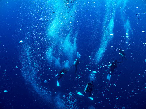 ダウンカレントで散らばる泡の中で休憩するダイバー