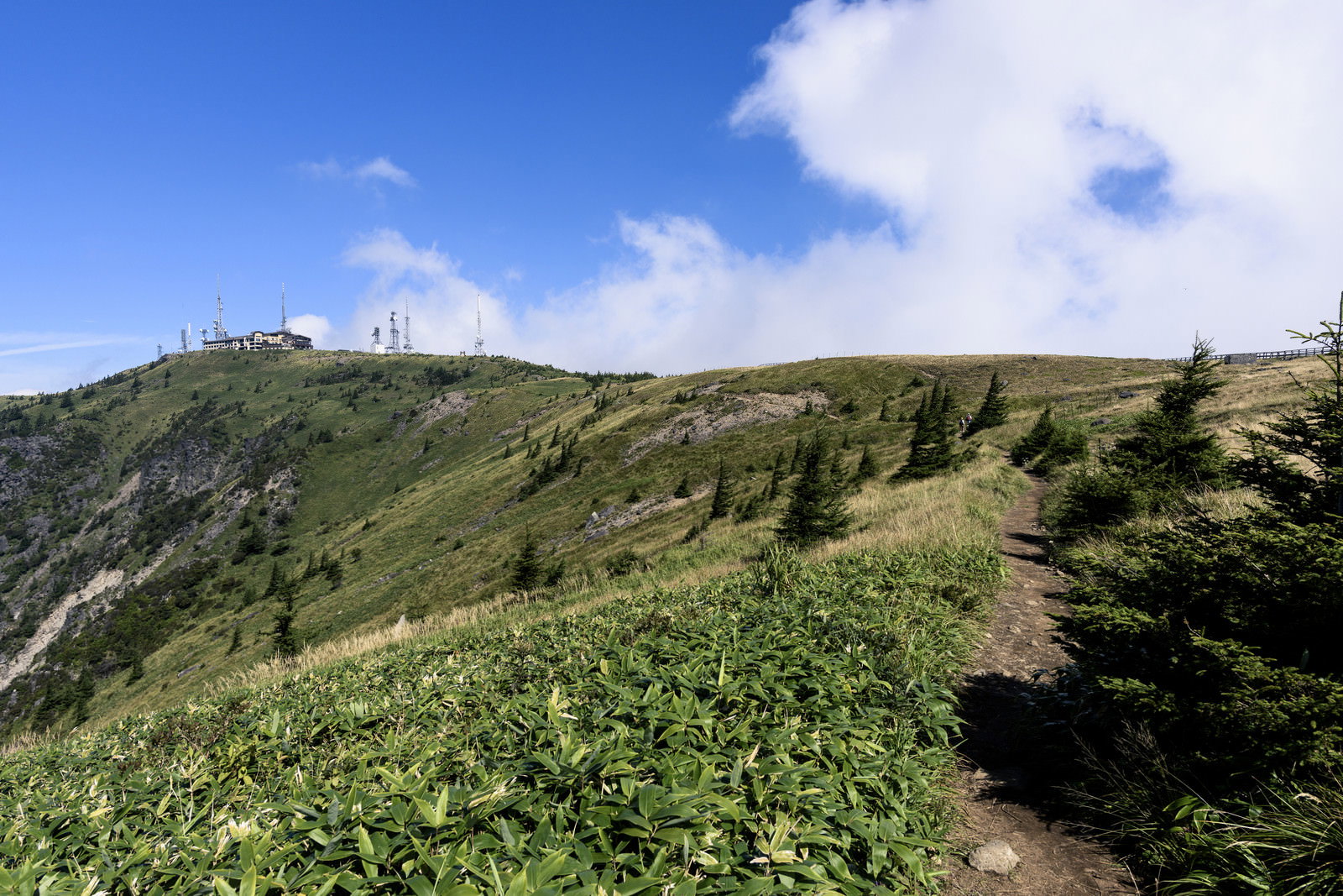 青空の下、緑の草原が広がる美ヶ原の稜線に続く登山道