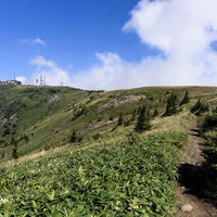 のどかな稜線が続く美ヶ原（うつくしがはら）の登山道の写真