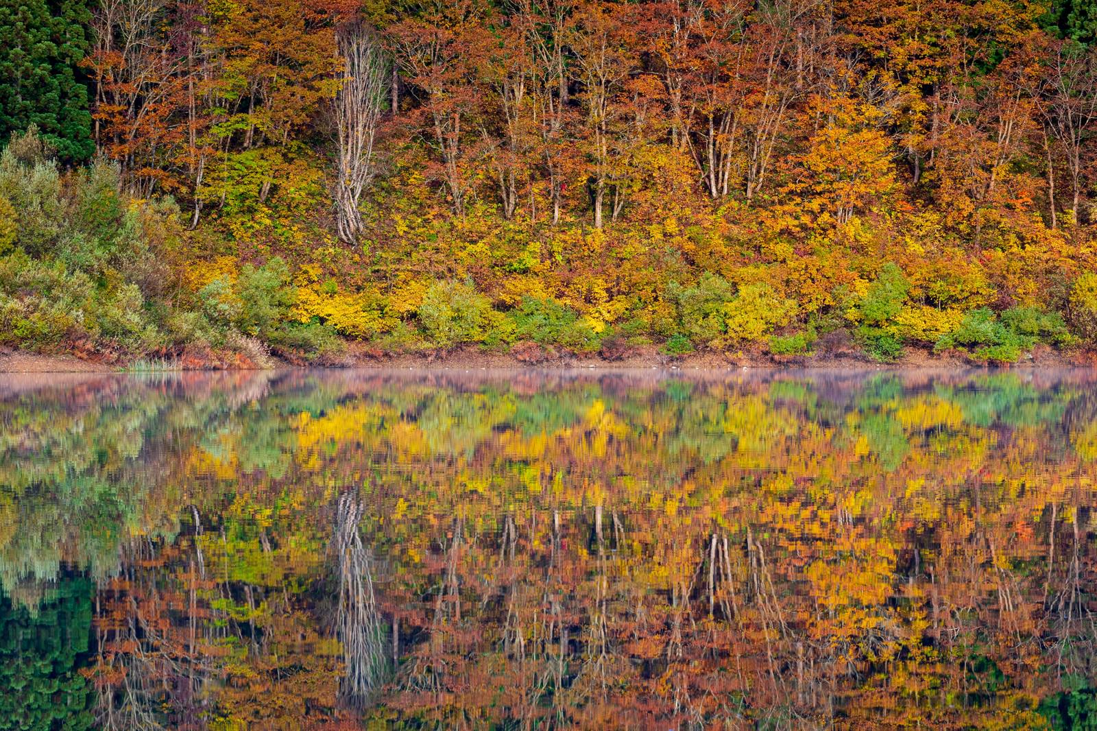 秋の紅葉が水面に美しく映る皆瀬村の大柳沼の風景